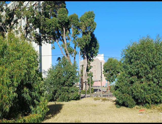 712M² VACANT LAND FOR SALE IN VAN RYNEVELD